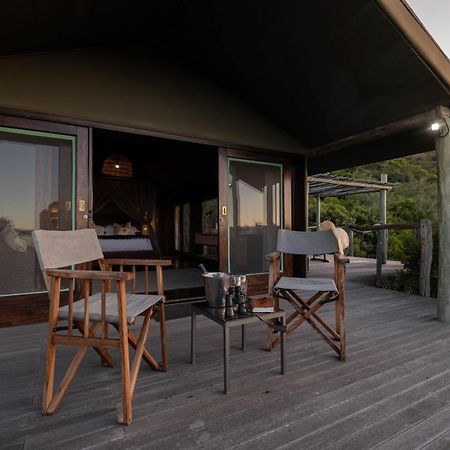 Hillsnek Safari Camp - Reserva de Amakhala Exterior foto
