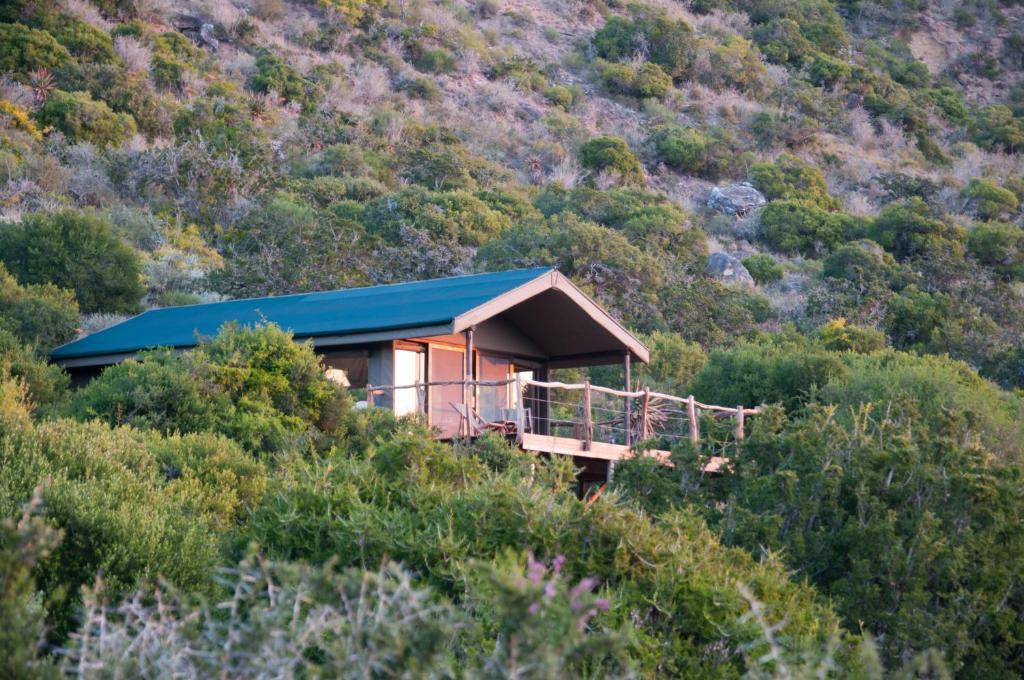 Hillsnek Safari Camp - Amakhala Game Reserve Villa Habitación foto