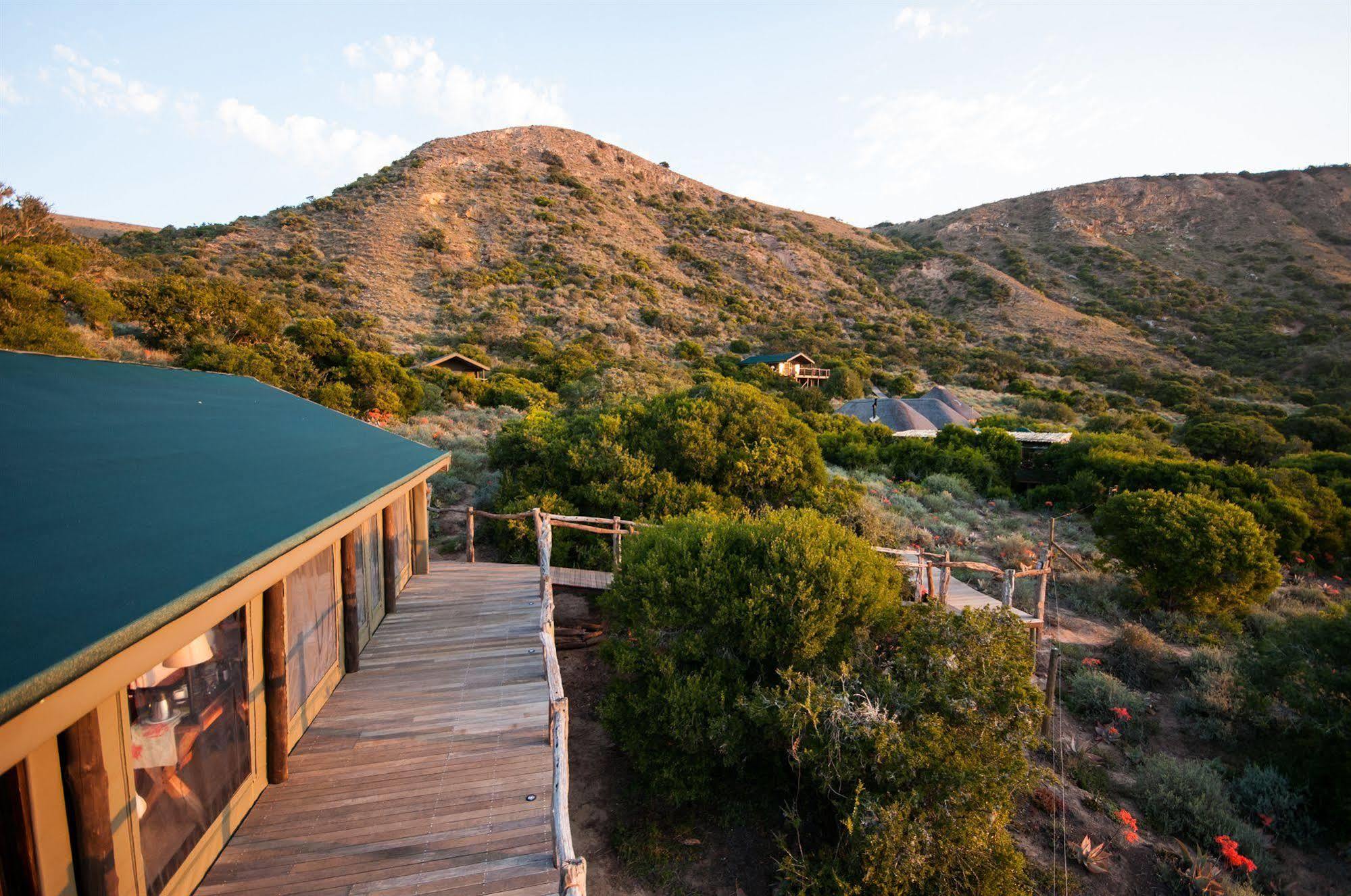 Hillsnek Safari Camp - Amakhala Game Reserve Villa Exterior foto