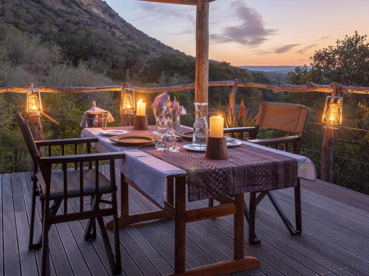 Hillsnek Safari Camp - Reserva de Amakhala Exterior foto